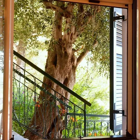 Apartment Houses Sea View Glyfada (Corfu)